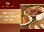 Phân biệt các loại tổ yến hiện nay có trên thị trường