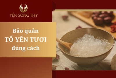 Bảo quản yến tươi như thế nào là đúng?