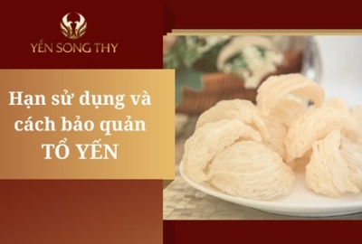Hạn sử dụng và tổng hợp những cách bảo quản tổ Yến đúng chuẩn