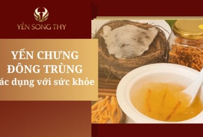 Tác dụng tổ yến chưng đông trùng hạ thảo đối với sức khỏe
