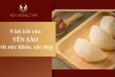 Top 9 Lợi ích tuyệt vời của yến sào đối với sức khỏe và sắc đẹp