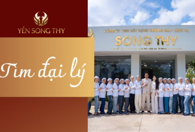Tìm đại lý yến sào hợp tác chiết khấu cao cùng Yến Sào Song Thy (update: 23/8/2025)