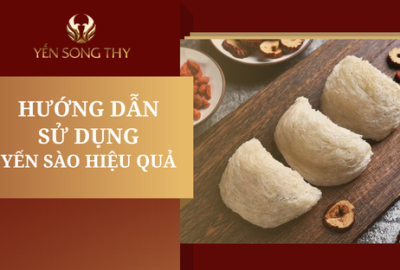 Hướng dẫn sử dụng yến sào tốt nhất