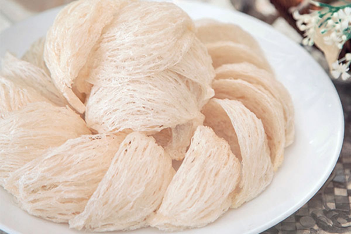 Bạch yến là loại yến phổ biến, nhiều người sử dụng nhất 
