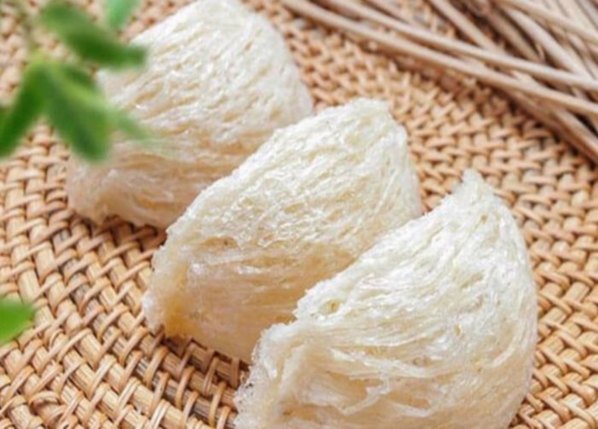 Bạch yến phù hợp đối với người dùng đều đặn