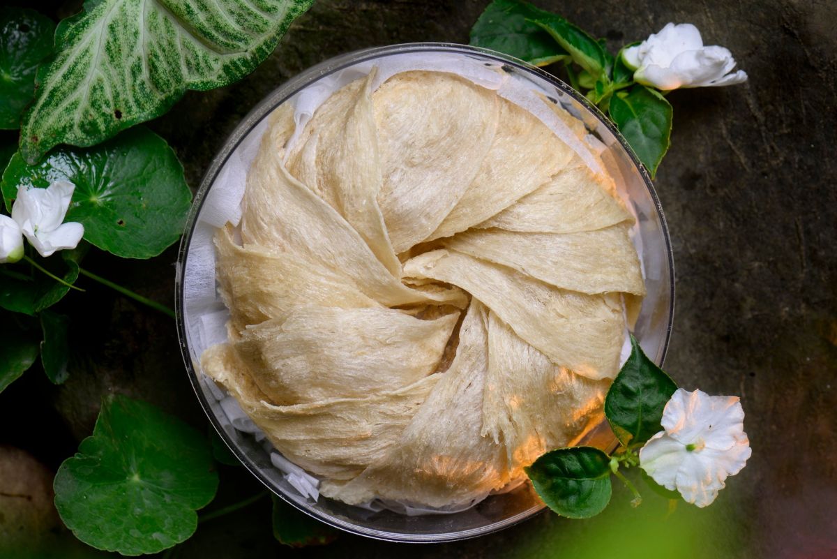 Các chất dinh dưỡng mà yến sào đem đến giúp bồi bổ thể lực chống chọi với bệnh tật