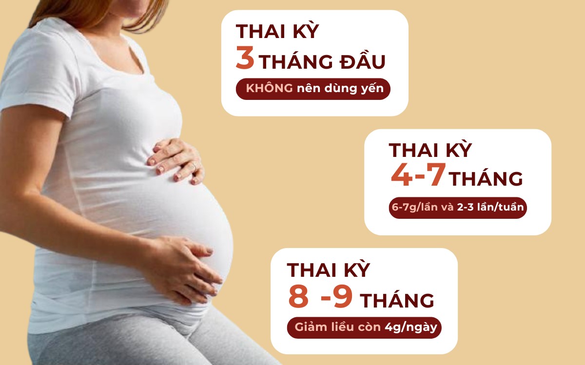 Liều lượng sử dụng yến sào cho phụ nữ mang thai