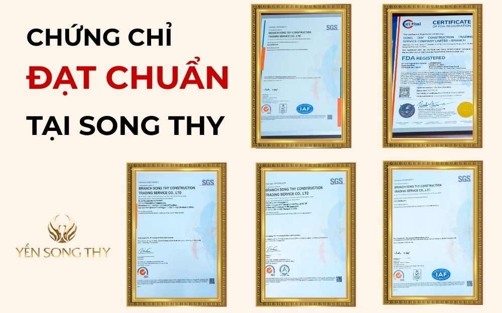 Yến Sào Song Thy đáp ứng được yêu cầu về chất lượng sản phẩm - đúng nhu cầu thị trường hiện nay
