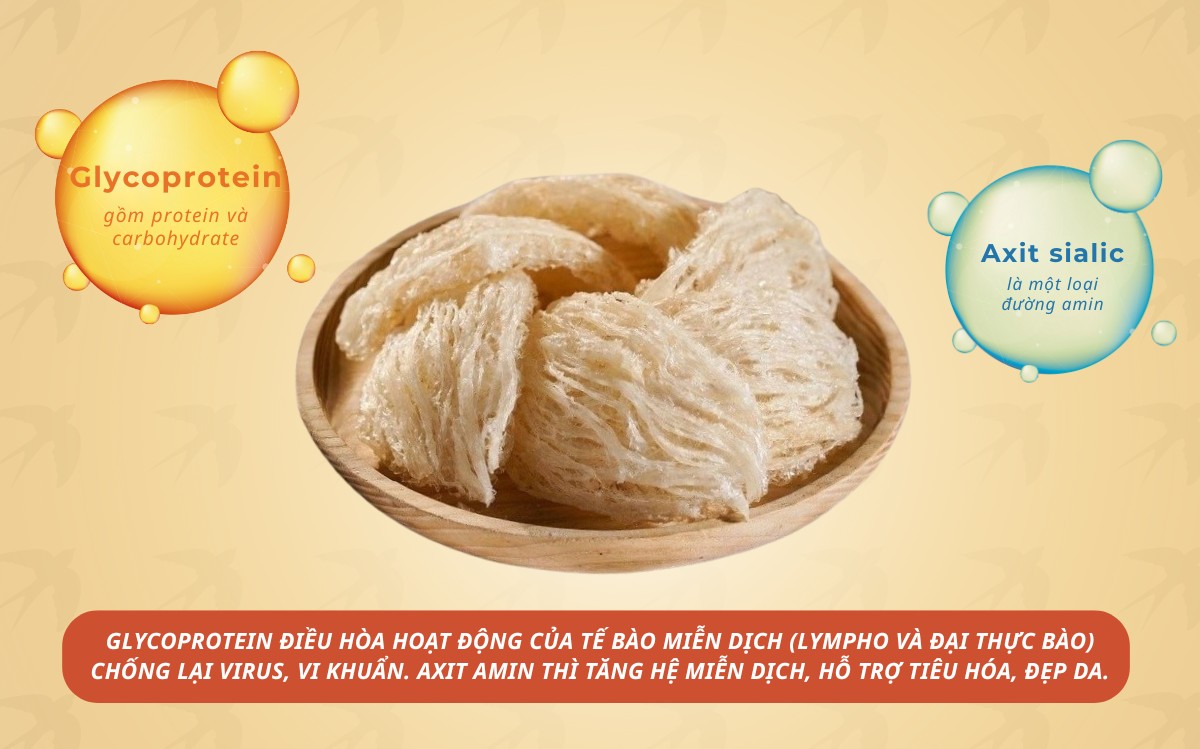 Hai nhóm chất glycoprotein và axit sialic giúp cơ thể nâng cao đề kháng và các tác nhân gây bệnh