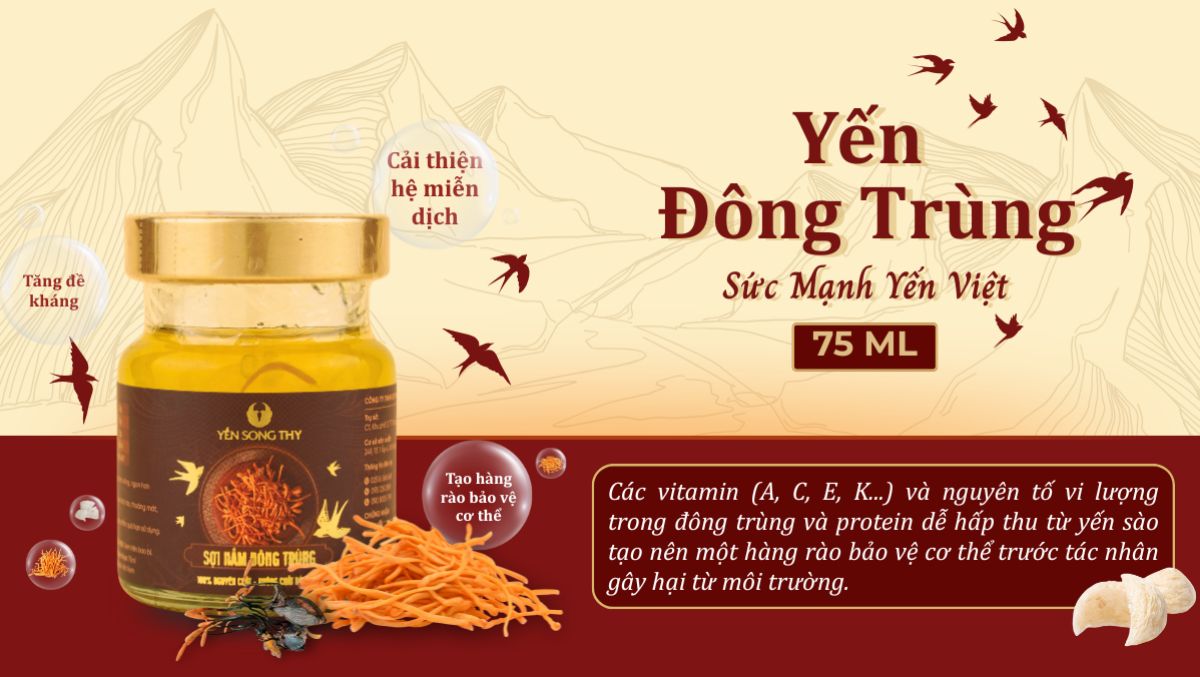 Khả năng miễn dịch của cơ thể có thể cải thiện nhờ tác dụng của tổ yến chưng đông trùng hạ thảo