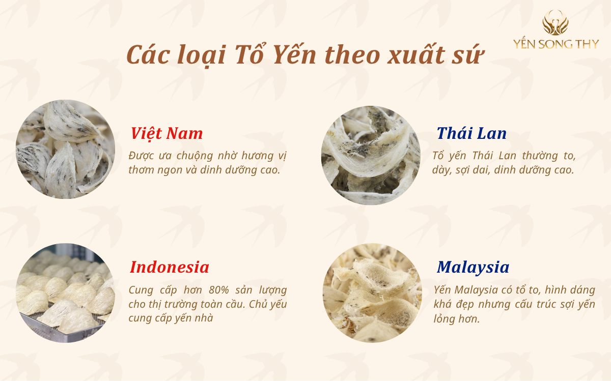 Một vài tổ yến có trên thị trường đến từ nhiều nước khác nhau
