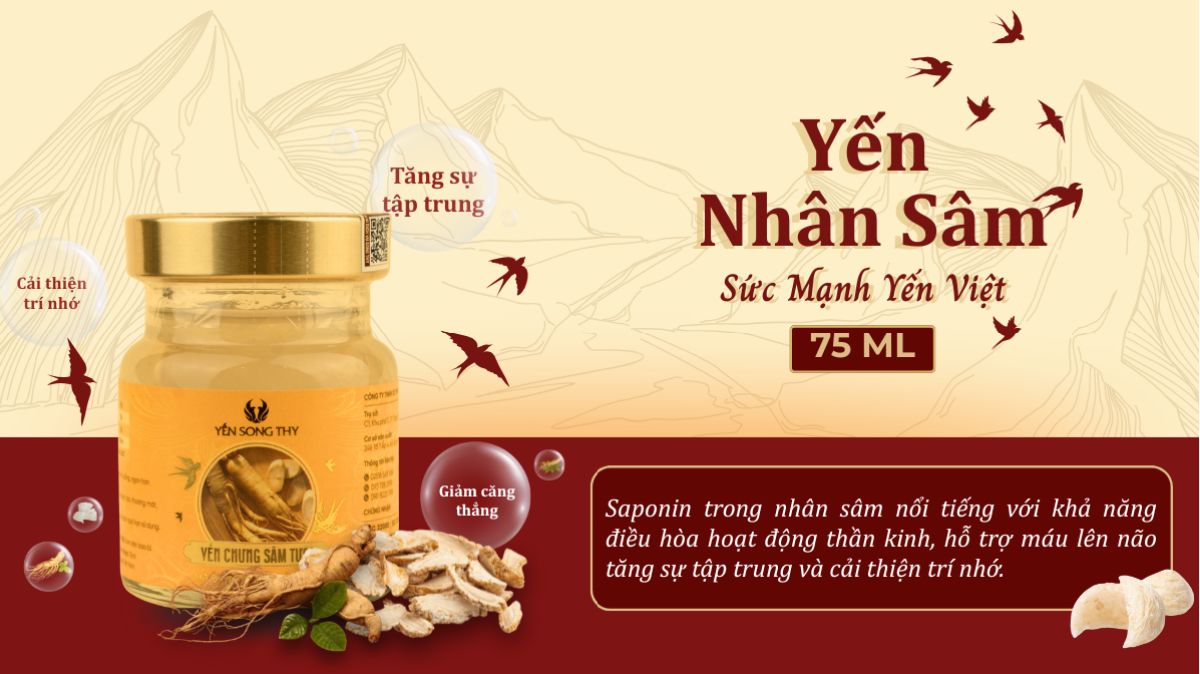 Nhân sâm chưa hoạt chất ổn định hệ thần kinh để cơ thể tăng sinh sự tập trung