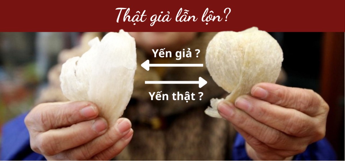 Phân biệt yến thật giả là câu hỏi nhiều người quan tâm khi mua và  sử dụng