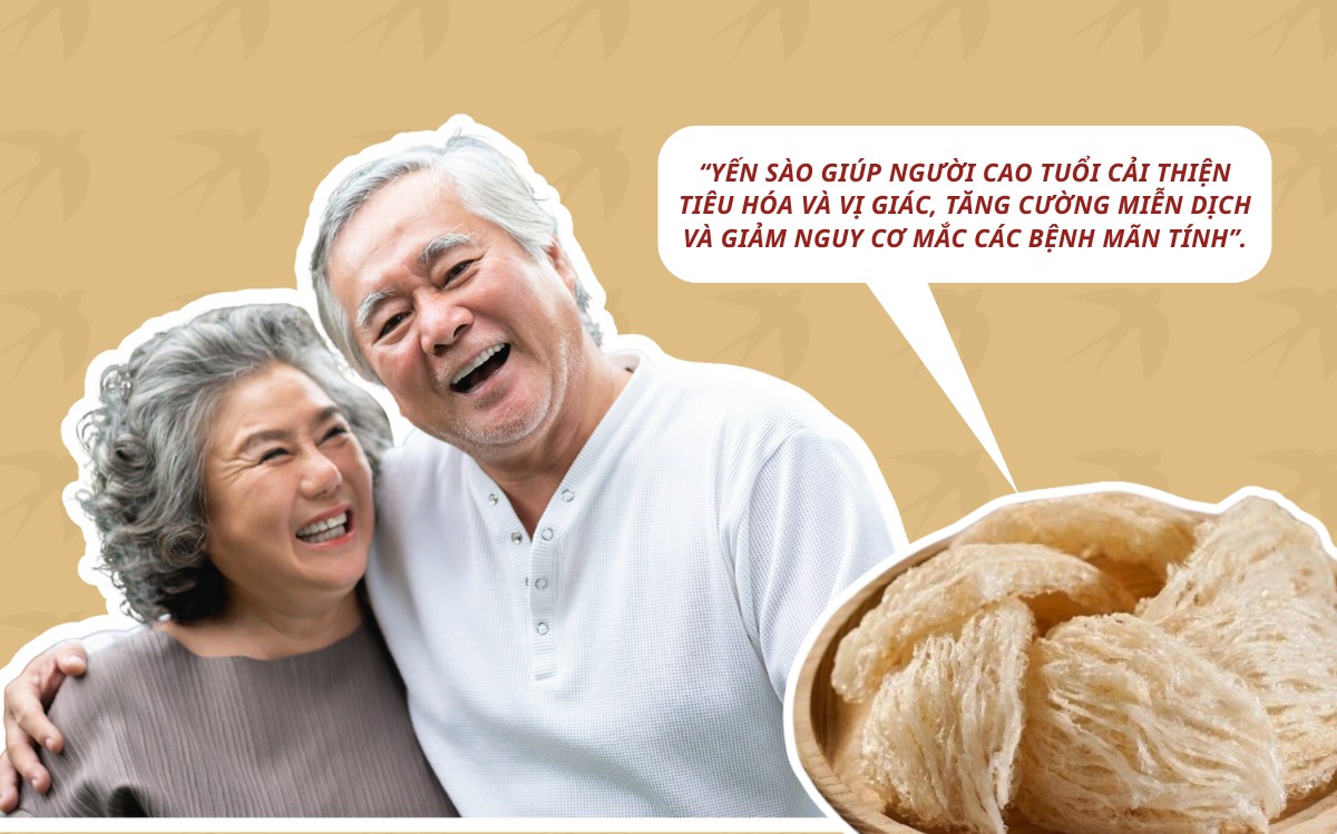 Sử dụng yến sào giúp người già có được cơ thể khỏe mạnh và giảm thiểu rủi ro mắc bệnh