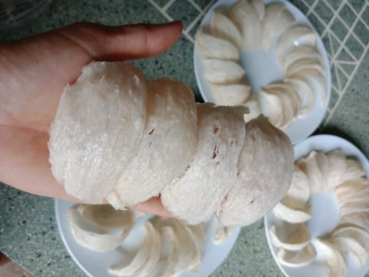 Tổ Yến giả và những tiềm ẩn đằng sau mang lại hệ lụy khó lường