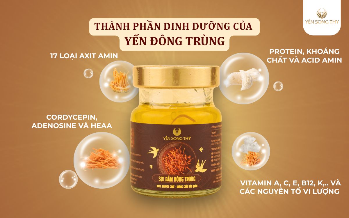 Trong nấm đông trùng chứa đa dạng chất bổ hỗ trợ đắc lực cho cơ thể