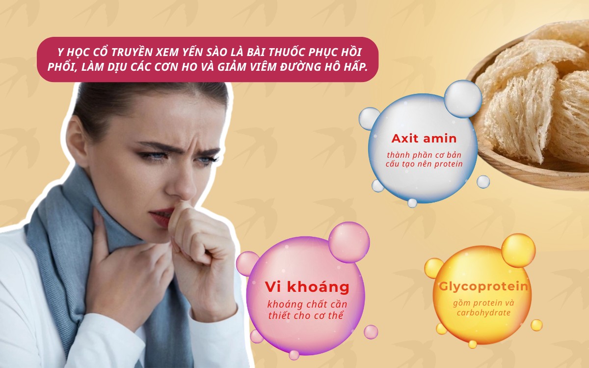 Trong yến chứa các khoáng chất mang lại khả năng làm dịu phổi khi gặp các vấn đề về hô hấp