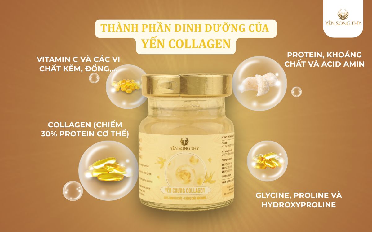 Yến chưng collagen chứa nhiều collagen giúp tăng độ đàn hồi cho da
