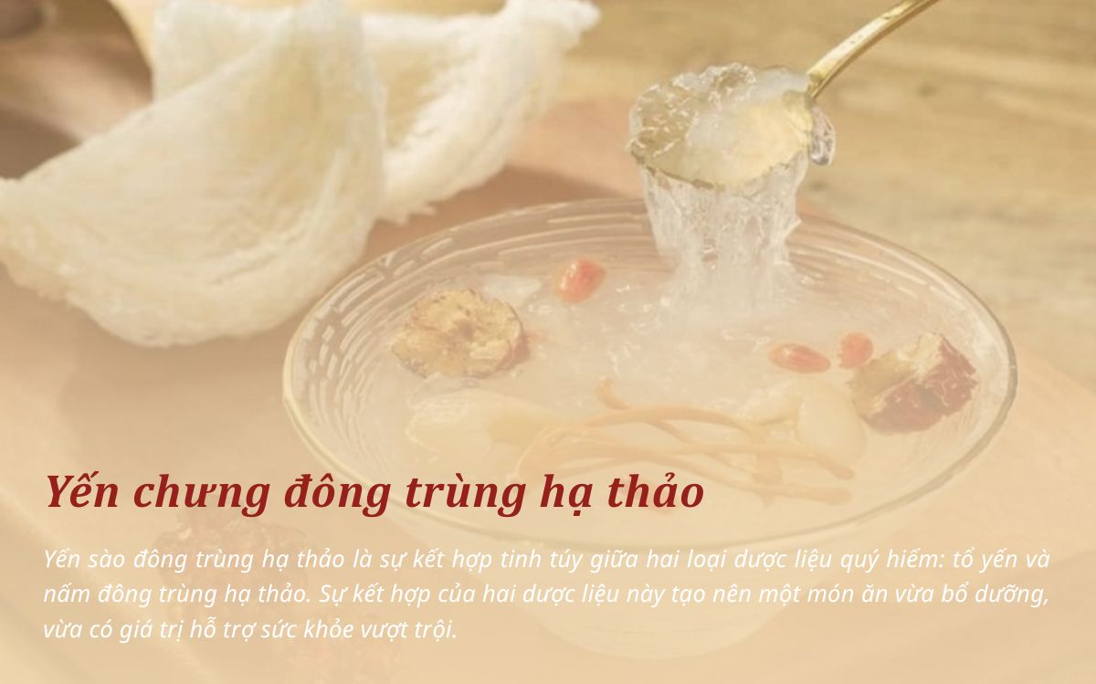 Yến chưng đông trùng hạ thảo là món ăn bổ dưỡng cùng hai dược liệu quý là tổ yến và nấm đông trùng