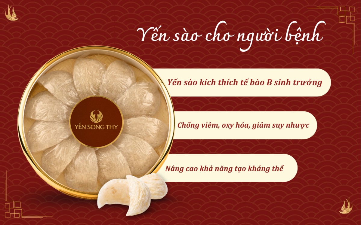 Yến mang lại nhiều dưỡng chất thúc đẩy tế bào B sản sinh để tạo ra kháng thể cho thân thể