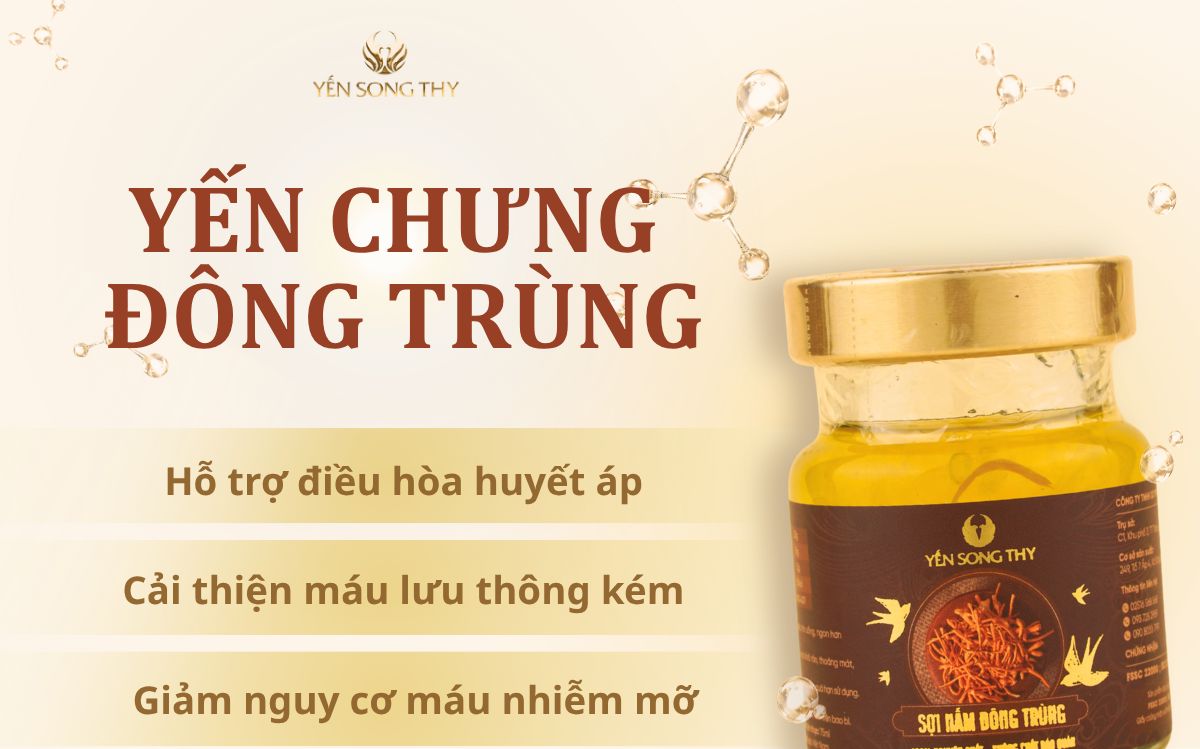Yến sào nấm đông trùng có công dụng cân bằng tuần hoàn máu và ổn định huyết áp